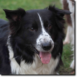 Duke 020702